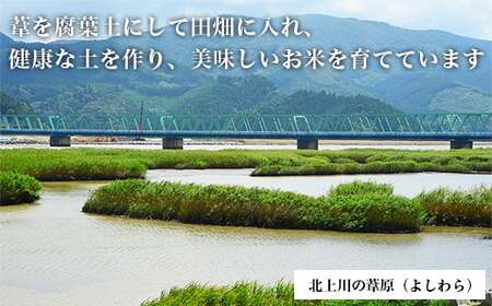 【新米予約】令和6年産 ヨシ腐葉土米 つや姫 精米8kg（4kg×2袋）宮城県産 つや姫 精米 つや姫 石巻産 つや姫