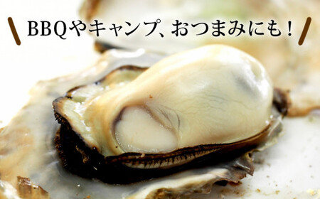 バーベキューに！宮城県石巻産殻付き牡蠣10キロ