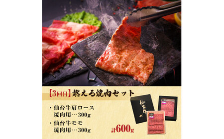 【定期便3回】仙台牛～贅沢食べ比べセット