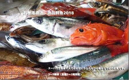 石巻港直送 逸品鮮魚 鮮魚 詰め合わせ
