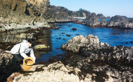 石巻 十三浜 マルナカ遠藤水産 海藻たっぷりセット 塩蔵わかめ 塩蔵昆布 茎わかめ 塩蔵そうめん昆布 とろろ昆布 ひじき ふのり 焼き干しばらのり