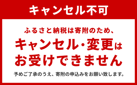 牡蠣 宮城県産 かきチーズグラタン 18個(3個×6パック)冷凍 小分け グラタン カキ 宮城県 石巻市 惣菜 まるたか水産
