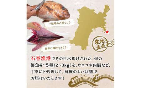 宮城県産 漁師直送! 鮮魚詰め合わせ 小 2～3kg（4～5種）鮮魚ボックス