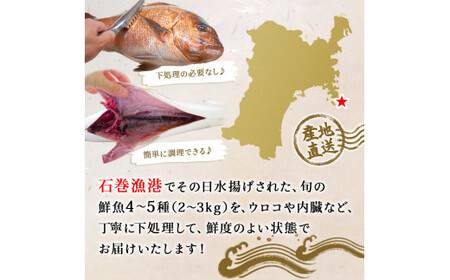 鮮魚 詰め合わせ 2～3kg（4～5種）下処理済み 魚 宮城県産
