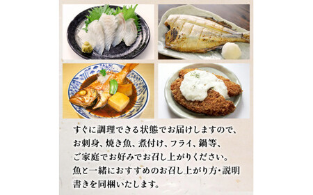 鮮魚 詰め合わせ 2～3kg（4～5種）下処理済み 魚 宮城県産