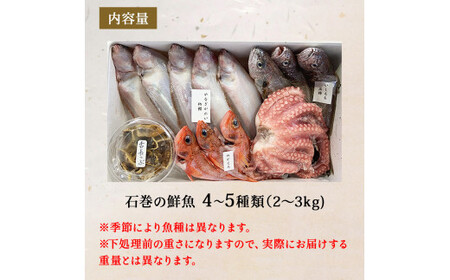 宮城県産 漁師直送! 鮮魚詰め合わせ 小 2～3kg（4～5種）鮮魚ボックス