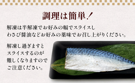 宮城県産 金華しめ鯖  1枚×8パック 石巻市 金華さば 〆さば 〆鯖 小分け 冷凍 おつまみ 宮城県 石巻市 しめさば 宮城県産 小分け しめさば 冷凍 おつまみ しめさば 小分け おつまみ しめさば 〆さば 〆鯖 石巻市 しめさば しめさば しめさば しめさば しめさば しめさば