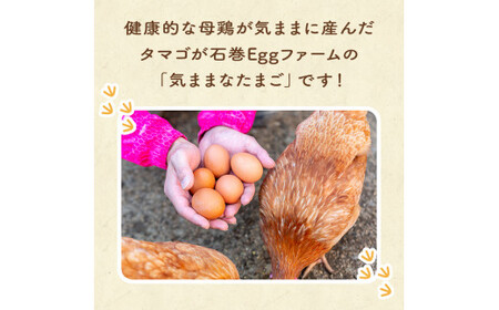 「気ままなたまご」24個入 たまご 卵 玉子 たまご焼き 卵焼き 玉子焼き たまご焼き 石巻の卵 石巻産たまご 美味しい卵