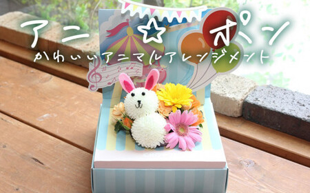 アニ☆ポン（うさぎ）  花 生花 花束 動物 うさぎ 可愛い ギフト プレゼント