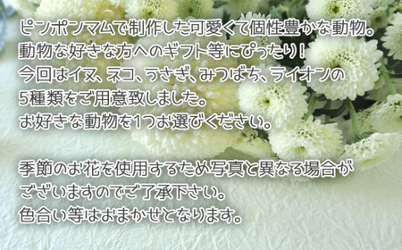 アニ☆ポン(ライオン) 花 生花 花束 動物 ライオン 可愛い ギフト プレゼント