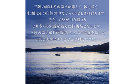 牡蠣むき身 500g 殻付き牡蠣 6個 お楽しみセット 牡蠣 かき カキ むき身 殻付き セット 魚介 魚介類 貝 海鮮