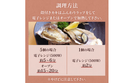 牡蠣むき身 500g 殻付き牡蠣 6個 お楽しみセット 牡蠣 かき カキ むき身 殻付き セット 魚介 魚介類 貝 海鮮