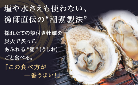 牡蠣の潮煮×10個セット