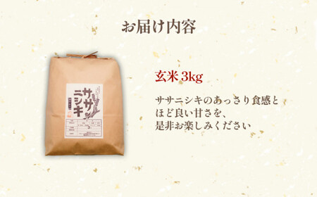 新米ササニシキ宮城県石巻産 令和5年９月14日収穫 玄米30キロ-