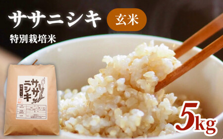 令和5年産 特別栽培米 ササニシキ 玄米 5kg	