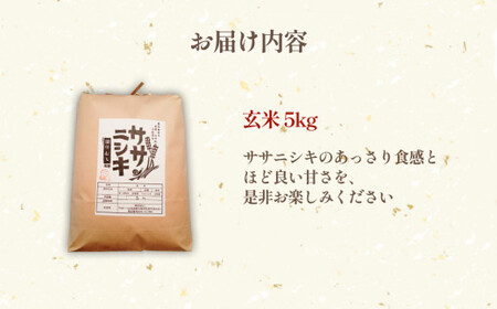 令和5年産 特別栽培米 ササニシキ 玄米 5kg	