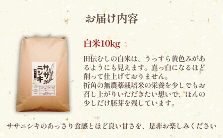 令和5年産 特別栽培米 ササニシキ 白米 10kg