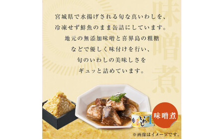 缶詰 いわし缶詰 木の屋石巻水産 食べ比べ セット (水煮・醤油・味噌) 24缶 イワシ 鰯 いわし缶 イワシ缶 鰯缶 イワシ缶詰 鰯缶詰 美味しいイワシ イワシの缶詰 イワシの缶詰 鰯の缶詰 水煮缶 醤油缶 鰯 いわし 缶詰 鰯の缶詰 水煮缶 鰯 いわし 缶詰 鰯 いわし 缶詰 鰯