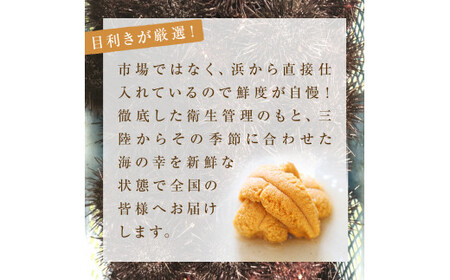 ＜先行予約：2026年5月下旬以降順次発送＞ 宮城県産 お造り生うに 6個 生ウニ 生雲丹 うに ウニ 雲丹 殻付きうに 殻付きウニ 殻付き雲丹