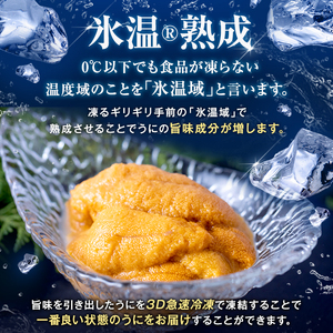 生うに 冷凍 氷温(R)熟成 生うに 100g×2 合計200g 宮城県産 岩手県産 生ウニ 生雲丹 うに ウニ 雲丹 新鮮うに キタムラサキウニ きたむらさきうに うに丼 ウニ丼 雲丹 冷凍うに 冷凍ウニ 冷凍雲丹