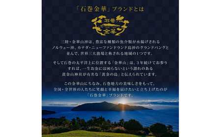 明太子 パスタソース２個 無添加 ホワイトソース 石巻金華