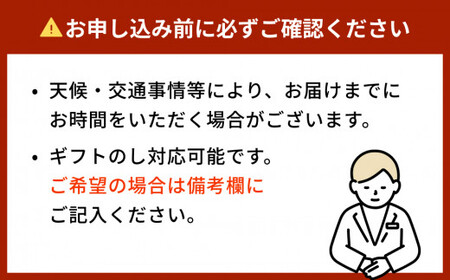 石巻蒲鉾 全種24個ささかまとあげかまセット 笹かま かまぼこ 練り物