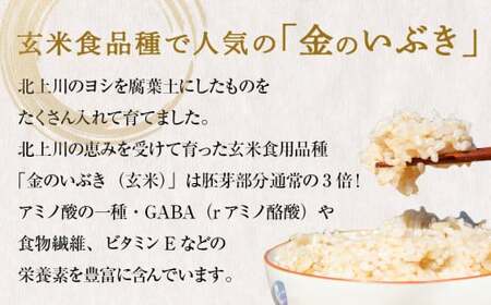 新米予約】令和5年産 金のいぶき（玄米）5kg | 宮城県石巻市