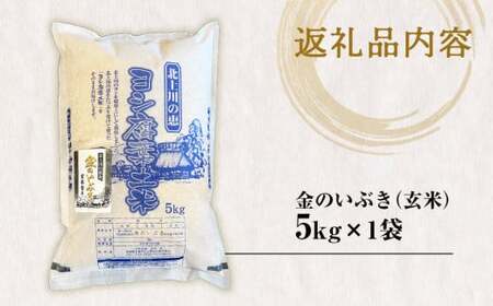 ふるさと納税 宮城県 石巻市 令和5年産 品種が選べる ヨシ腐葉土米