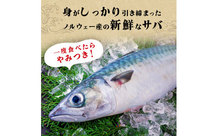 訳あり 塩サバフィレ 2kg 塩さばフィレ  塩鯖フィレ さばフィレ サバフィレ 鯖フィレ 冷凍 無添加 鯖 切身 宮城県 石巻市 魚 鯖 さば サバ 切身 切り身 魚 鯖 さば サバ 切身 切り身 魚 鯖 さば サバ 切身 切り身 魚 鯖 さば サバ 切身 切り身 魚 鯖 さば サバ 切身 切り身 魚 鯖 さば サバ 切身 切り身 魚 鯖 さば サバ 切身 切り身 魚 鯖 さば サバ 切身 切り身 魚 鯖 さば サバ 切身 切り身 魚 鯖 さば サバ 切身 切り身 