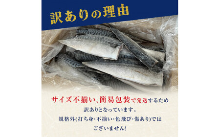 鯖 訳あり 冷凍 無塩 サバフィレ 2kg さばフィレ 鯖フィレ サバフィレ 切身 宮城県 石巻市 魚 さば サバ 切り身