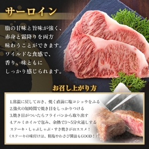 うしちゃんファームの石巻黄金和牛 3種 ギフトセット(サーロインステーキ/上ロース薄切り/黒毛和牛ハンバーグ)