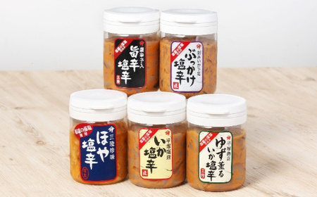 三陸スルメイカ使用 特選５本セットB(1本170g)　【r6-04203-0798】