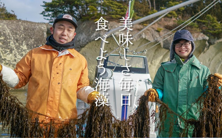 松島湾産 湯通し 冷凍 わかめ 一口カット 500g×2個　【04203-0705】