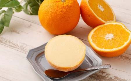 オレンジシャーベット6個入り