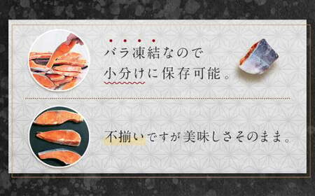 【訳あり】 銀鮭 切身 甘口 (不揃い) 約1kg 鮭 冷凍