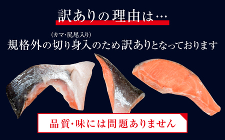 訳あり 塩紅鮭 甘口 切身 1.3kg 甘口 不揃い 規格外 カマ 尻尾 込み バラ凍結 簡易包装 さけ サケ シャケ 塩鮭 塩さけ 魚 おかず 切り身 冷凍 塩竈市 宮城県