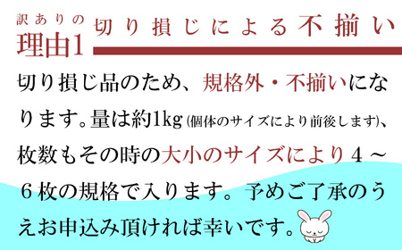 【年内配送】訳あり真ホッケ開き干し 1kg(4～6枚)  mm00011 【ほっけ 訳あり ホッケ 魚介 干物 ひもの 年内お届け 宮城県 塩竈市 期間限定 家計応援 生活応援】