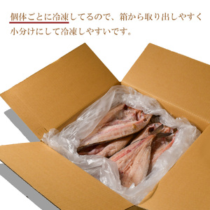 【年内配送】訳あり真ホッケ開き干し 1kg(4～6枚)  mm00011 【ほっけ 訳あり ホッケ 魚介 干物 ひもの 年内お届け 宮城県 塩竈市 期間限定 家計応援 生活応援】