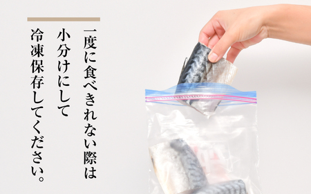 【年内配送】訳あり とろさば切身干し 約 600g (10切前後 ) 冷凍 ノルウェー産 サバ さば 鯖 宮城県 塩竈市