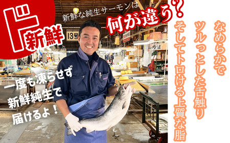 サーモン 純生アトランティックサーモン ブロック 半身(骨なし・皮なし)※生食可 |  サーモン サーモン サーモン