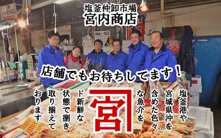 サーモン 純生アトランティックサーモン ブロック 半身(骨なし・皮なし)※生食可 |  サーモン サーモン サーモン