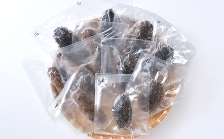 戻し ナマコ 1kg ( 約5本 ～ 20本 ) | es00005 エスエスフーズ なまこ 海鼠 国産 高級食材