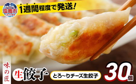 餃子 とろ~りチーズ生餃子 30個