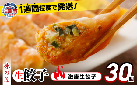 餃子 激唐生餃子 30個