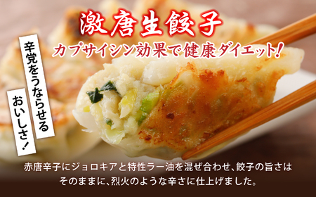 餃子 激唐生餃子 30個