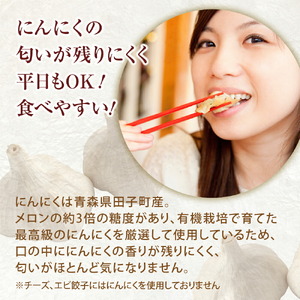 餃子 激唐生餃子 30個