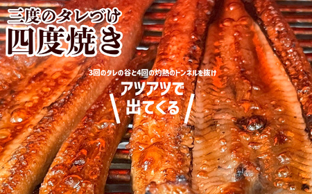 穴子 蒲焼き 刻み 国産 320g 小分け (80g×4) あなご 穴子蒲焼 塩竈市 三晃食品