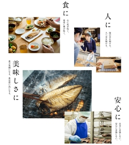 塩蔵セレクション〈唯〉 | 干物 セット 詰め合わせ 金華さば 金華サバ 鯖 さば サバ 吉次 アラスカ キチジ うす塩 粕漬け ノドグロ のどぐろ タラ たら 銀鱈 銀たら 銀タラ 間宮塩蔵 | mm00018