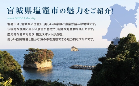 薫香漬け（燻製風味漬け魚）３種詰合せ 各3枚 合計9枚｜赤魚 鯖 さば サバ ほっけ ホッケ 魚 魚介類 焼き魚 焼魚 燻製 スモーク おかず おつまみ 宮城県 塩竈市 マルケン菊地商店