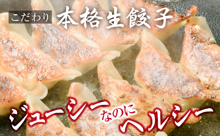 餃子 こだわり本格生餃子 600個(約120人前)